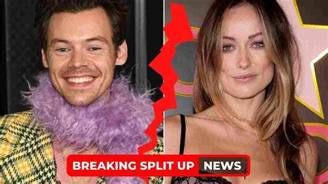 Why Did Harry Styles And Olivia Wilde Split Everything We Know So Far