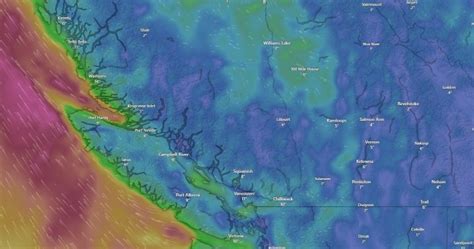 More daily records set as warm temperatures continue across B.C ...