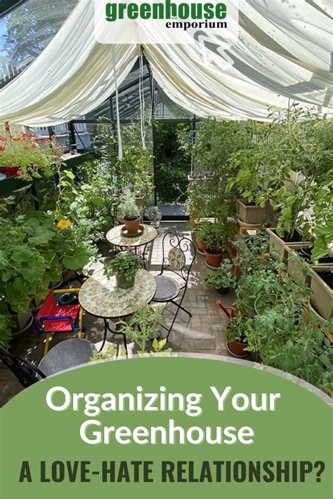 Best Greenhouse Layout: Organize Your Greenhouse