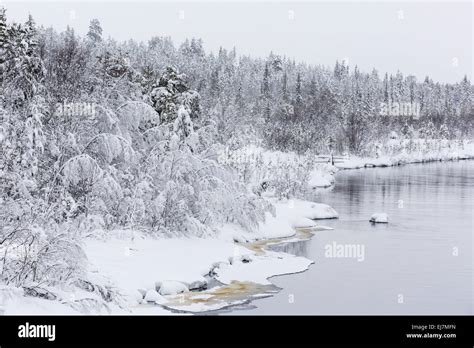 Forstwirtschaft In Finnland Fotos Und Bildmaterial In Hoher Aufl Sung