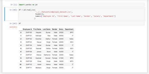 How To Read CSV File Into Pandas DataFrame