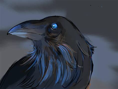 Crow In The Night By Dalfyno On Deviantart