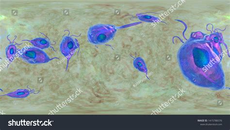 Trichomonas Vaginalis Protozoan 360degree Spherical Panorama Stock Illustration 1415788376