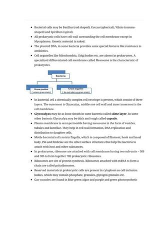 Biology Chapter Cell The Unit Of Life Pdf