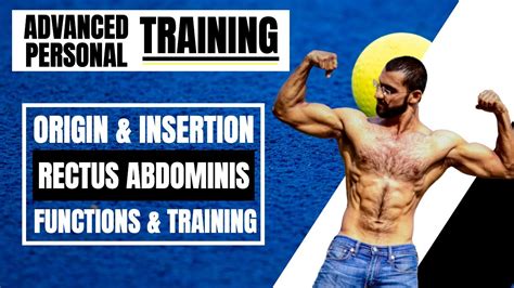 Rectus Abdominis Muscle ABS Origin Insertion Actions Training YouTube