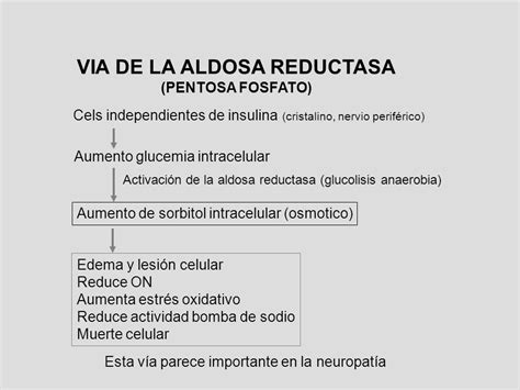 Complicaciones De La Diabetes Ppt Video Online Descargar