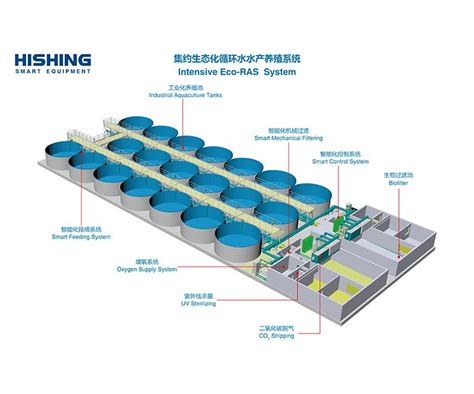 Recirculating Aquaculture System for Sale