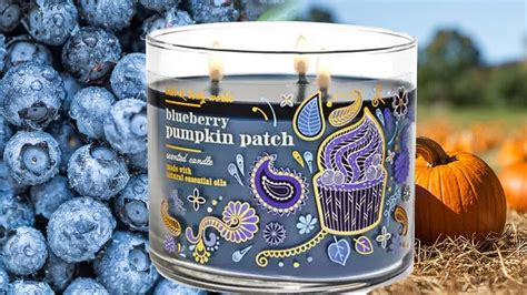 Bath Body Works Blueberry Pumpkin Patch Candle Review YouTube