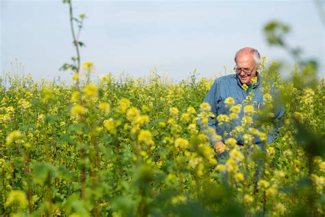 Adee Honey Farms – Creme Royale