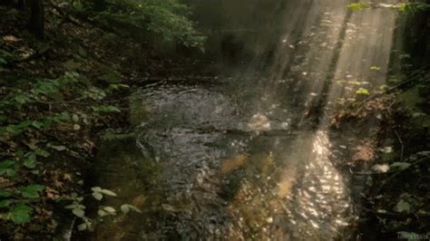 Rays Light GIF - Rays Light Reflection - Discover & Share GIFs