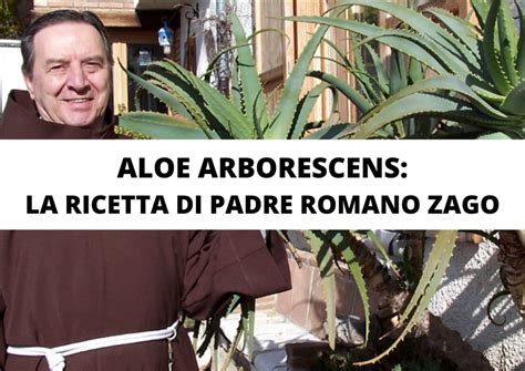 Ricetta Di Padre Romano Zago Ricetta Originale Dal 1997 AloeVonderweid