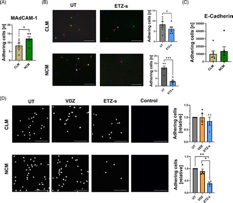 Monocyteexpressed Integrin Is Functional For Interaction With