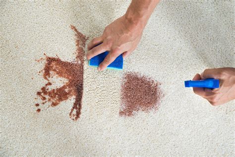 Carpet Spot and Stain Removal Tips: Home: Carpet stain Removal