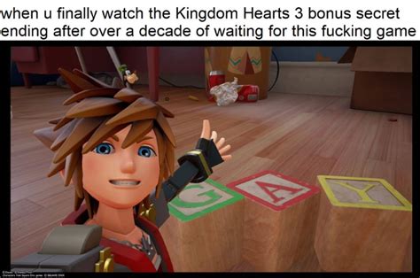 160 Funniest Kingdom Hearts Memes Of All Time Fandomspot