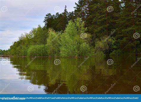 Floodplain Flooded During Spring High Water Stock Photo Image Of