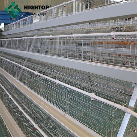 Poultry Farming A Type Tier Birds Poultry Farm Galvanized Battery