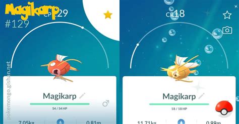 Magikarp Pokemon Go