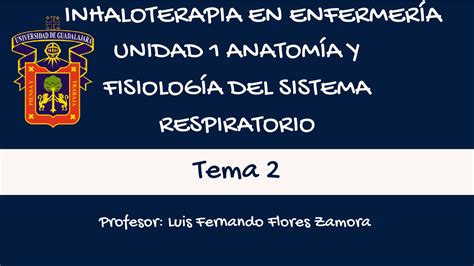 Anatomía Y Fisiología Del Aparato Respiratorio Diapositivas De Enfermería Clínica Docsity