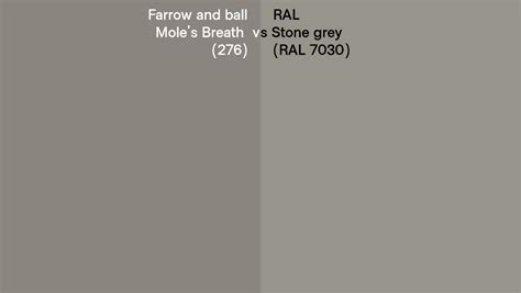 Farrow And Ball Mole S Breath Vs Ral Stone Grey Ral Side