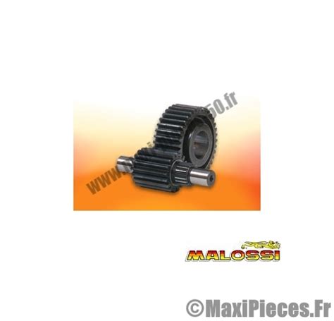 transmission secondaires malossi pour x max Maxi Pièces 50