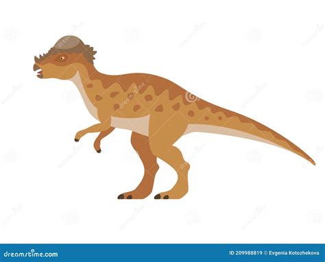 Pachycephalosaurus Dinosaur Full Photo Realistic Skeleton Perspective