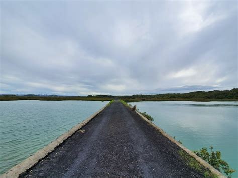 THE RANGITOTO ISLAND SUMMIT WALK | CHUR NEW ZEALAND