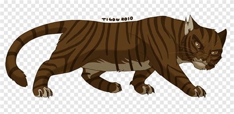 Gato Starlight Warriors Tigerstar Firestar Gato Mam Fero Animais Png