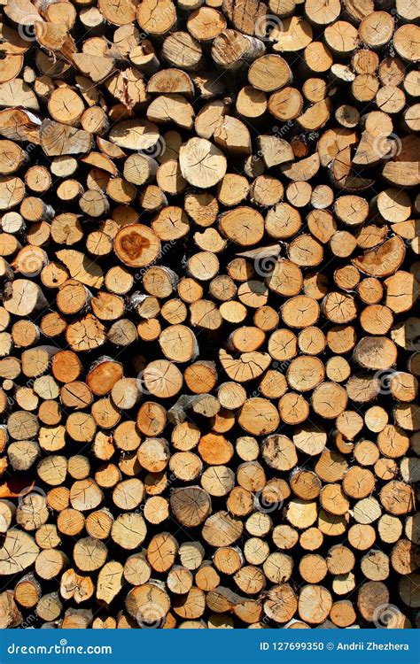 Stacked Firewood As Background Stock Photo Image Of Timber Nature