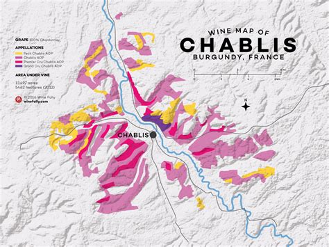 A Simple Guide To Burgundy Wine With Maps Wine Folly