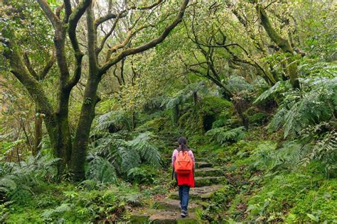 Yangmingshan National Park