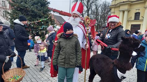 Wspólne strojenie choinki i żywe zwierzęta Wigilia pod Gołym Niebem w