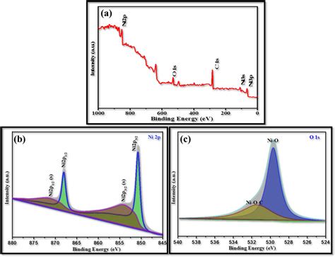 XPS Spectra Of Ni NPs A Survey Spectrum B High Resolution Ni 2p