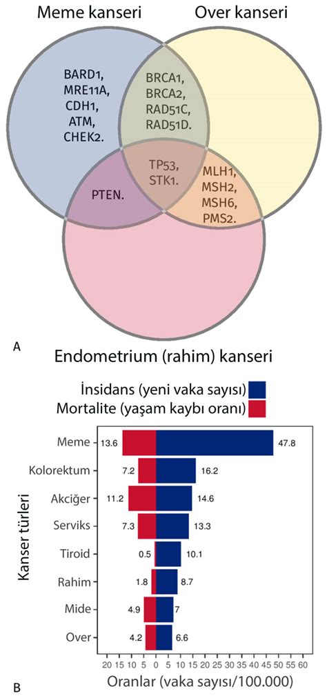 BRCA Geni Taşıyıcıları için Meme Kanseri Riskini Düşüren Strateji