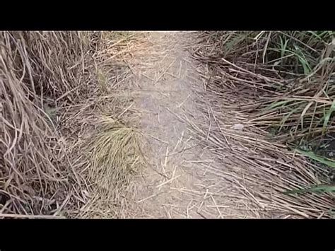 Hombres en el camino besándose XVIDEOS