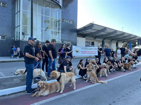 Justiça pelo Joca tutores de cães fazem manifestação no aeroporto de