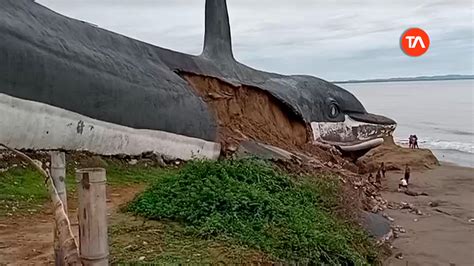 Personas atrapadas y un fallecido tras colapso del monumento al delfín