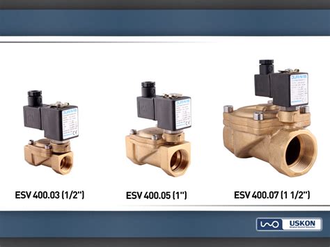 Products Duravis Esv Series Solenoid Valves