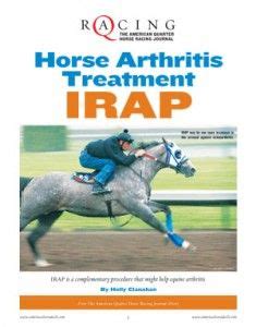 17 Equine IRAP Therapy ideas | therapy, equines, incubation period