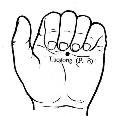 What To Know About Lao Gong Pericardium 8 Acupuncture Acupressure