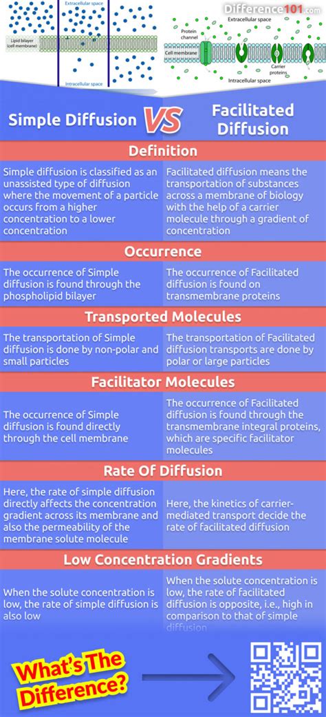 Simple Diffusion Vs Facilitated Diffusion 6 Key Differences Examples Similarities