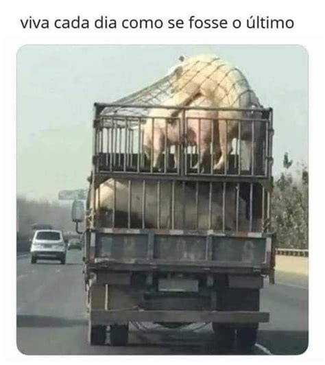 Viva cada dia como se fosse o último r brasil