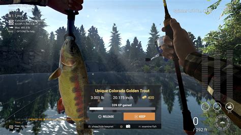 Unique Colorado Golden Trout Guide Rocky Lake Fishing Planet Youtube