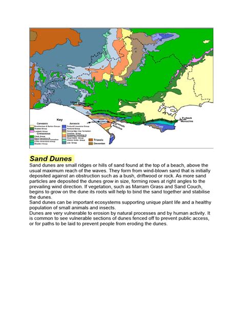 Studland Bay | Download Free PDF | Dune | Physical Geography