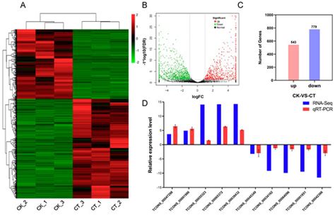 Ijms Free Full Text Combined Lncrna And Mrna Expression Profiles