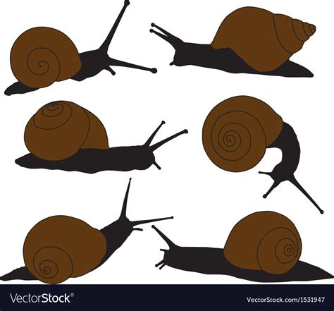 Snail Silhouette Royalty Free Vector Image VectorStock