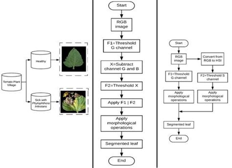 Crop Leaf Disease Grade Identification Based On An Improved