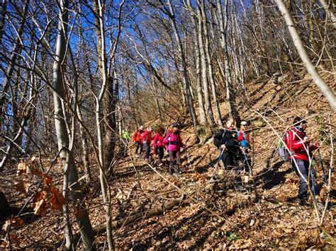 COLLI EUGANEIIL SENTIERO DEL MONTE VENDA Sottosezione Di Noventa