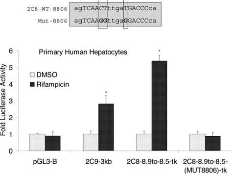 Primary Human Hepatocytes Support CYP2C8 Induction Via The Far Upstream