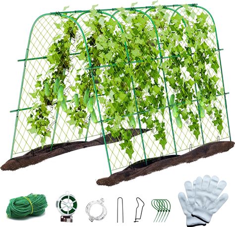 Amazon Bstwm X Cucumber Trellis For Raised Bed Metal