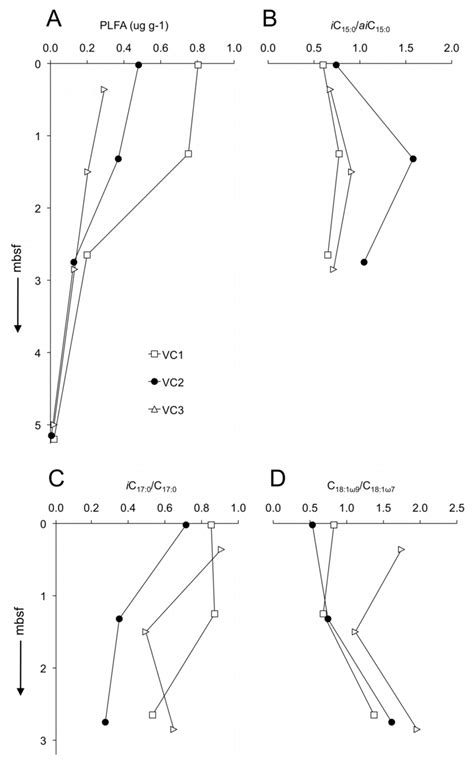 5 Downcore Profiles Of Total Phospholipid Fatty Acid Plfa Abundances